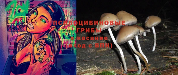 СК Абдулино