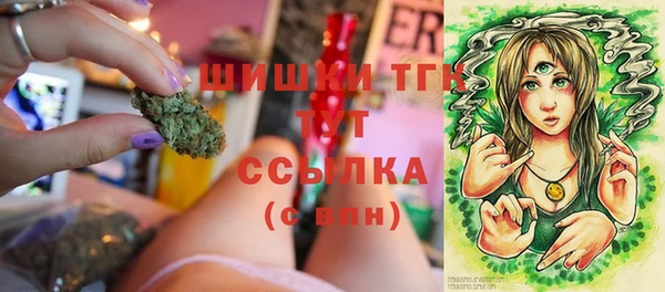 амф Абаза