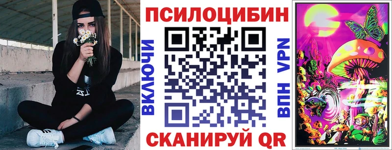omg как зайти  Новопавловск  Галлюциногенные грибы GOLDEN TEACHER 